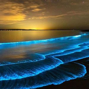 Meet your Posher, June